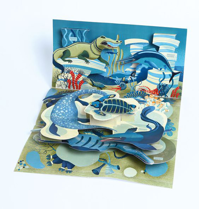 Pop-up Book